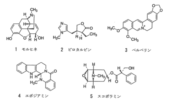 解説画像